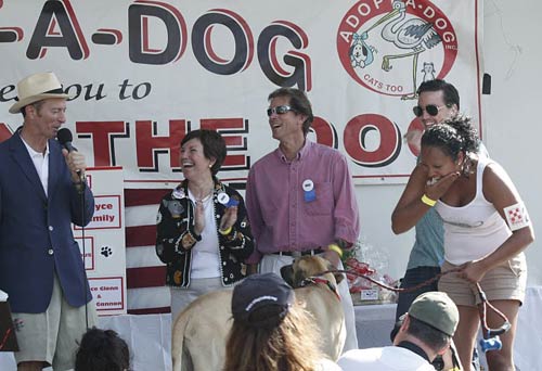 04 Adopt A Dog
